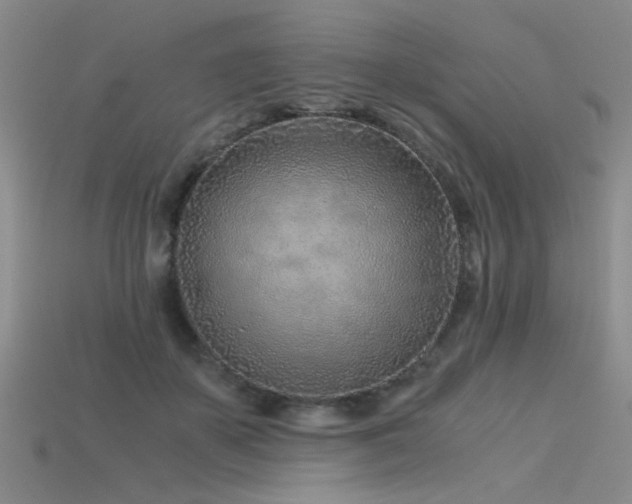 X0000115820507200911131447