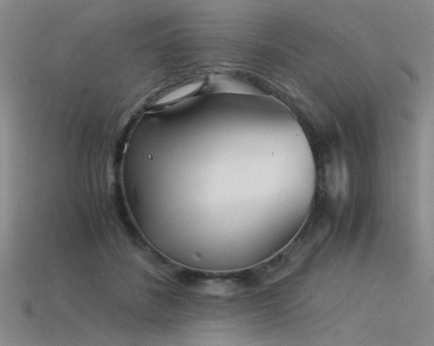 X0000115820508200911131447