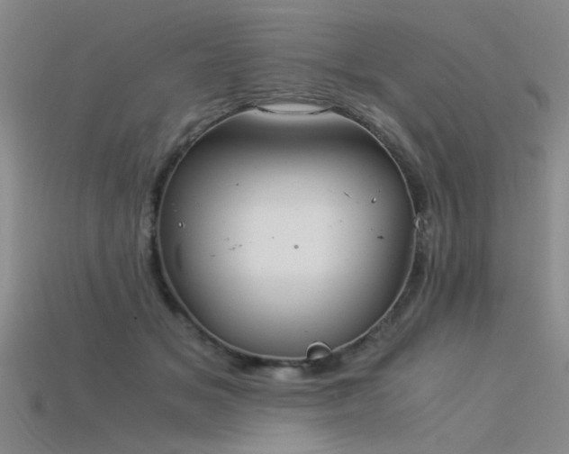 X0000115820509200911131447