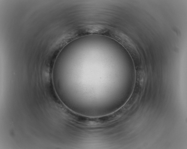 X0000115820510200911131447