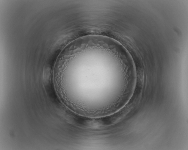 X0000115820511200911131447