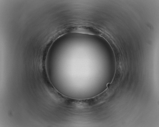 X0000115820512200911131447