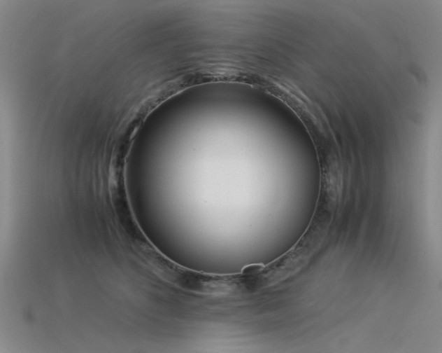 X0000115820516200911131447