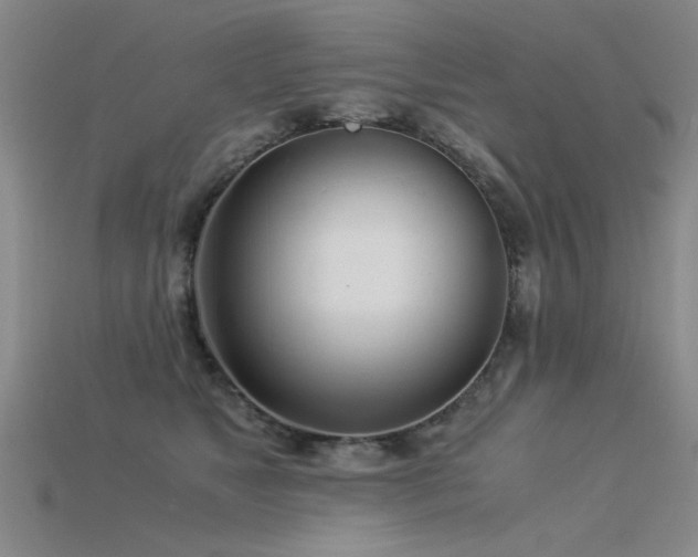 X0000115820517200911131447