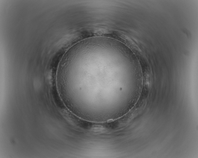 X0000115820519200911131447