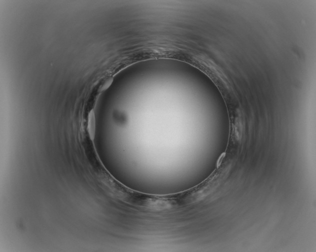 X0000115820520200911131447