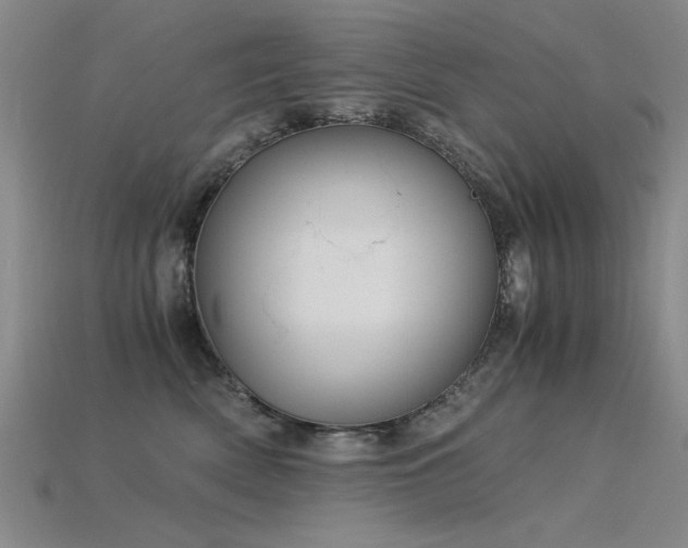 X0000115820522200911131447