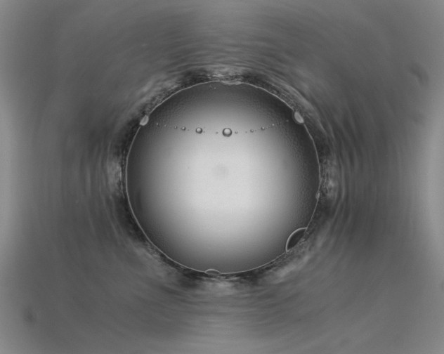 X0000115820523200911131447