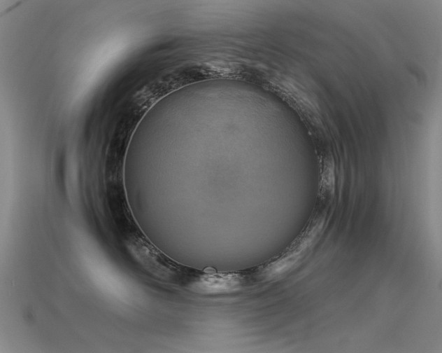 X0000115820526200911131447