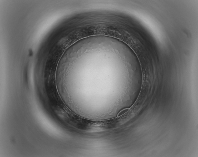 X0000115820527200911131447