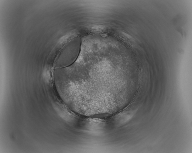 X0000115820528200911131447