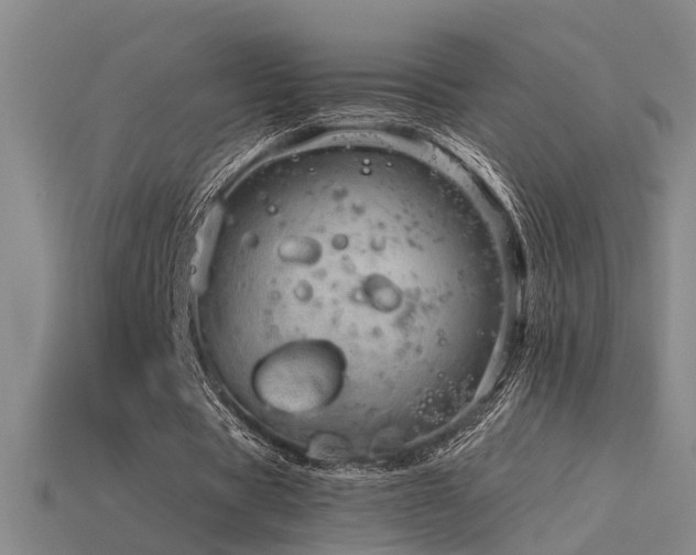 X0000115820529200911131446