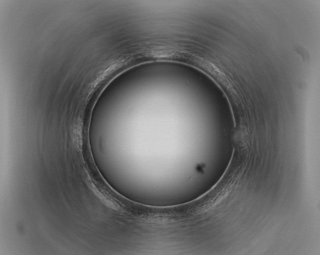 X0000115820530200911131446