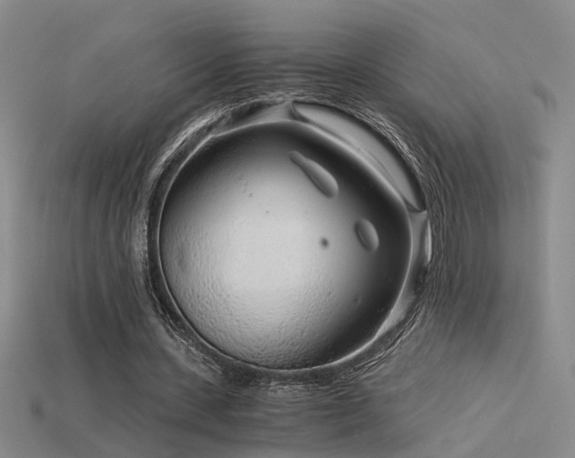 X0000115820531200911131446