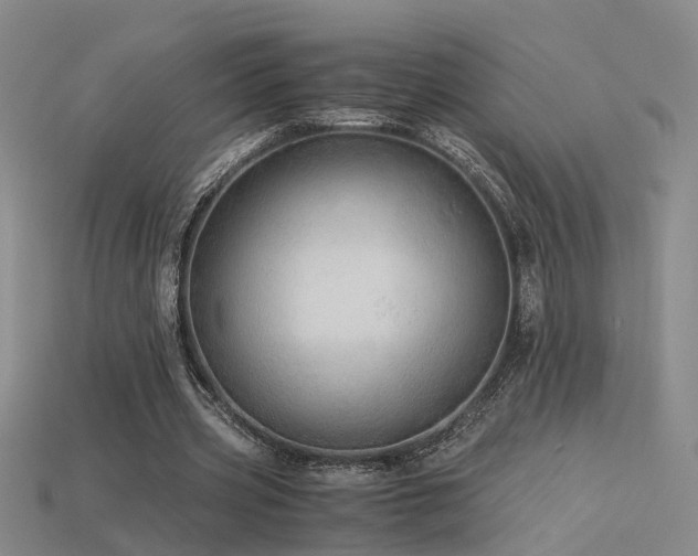 X0000115820533200911131446