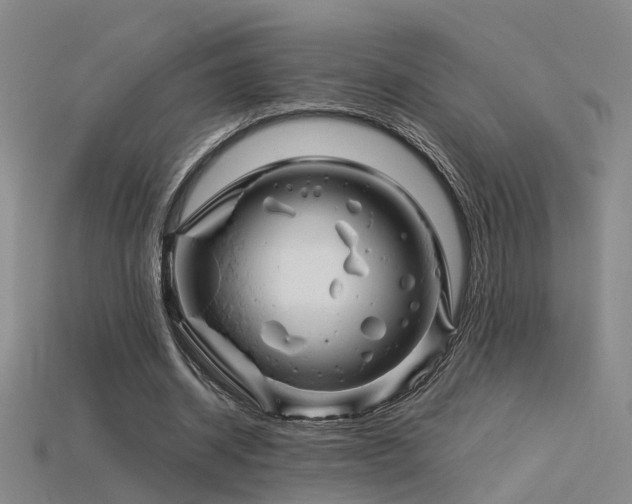 X0000115820534200911131446