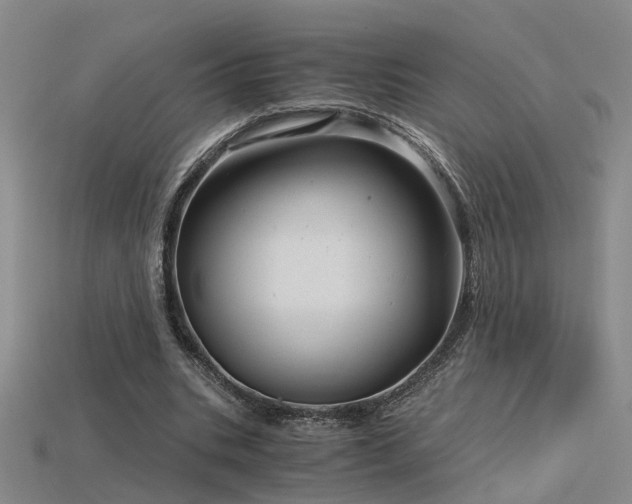 X0000115820535200911131446