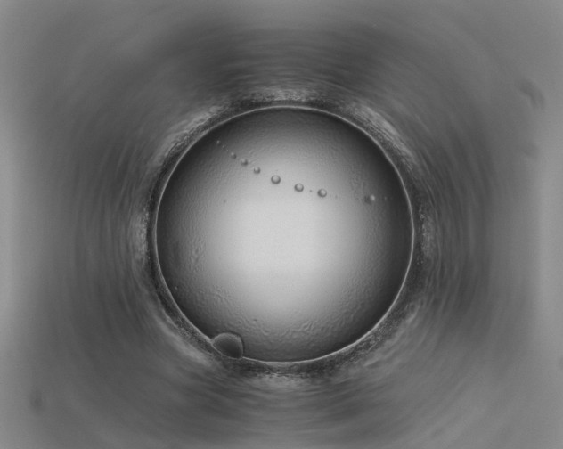 X0000115820537200911131446