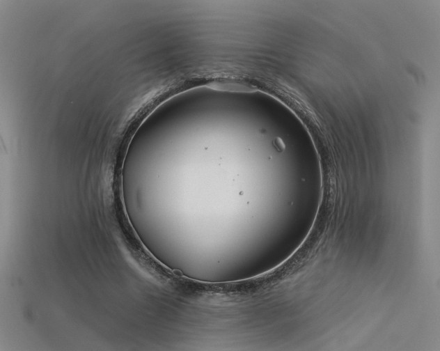 X0000115820538200911131446