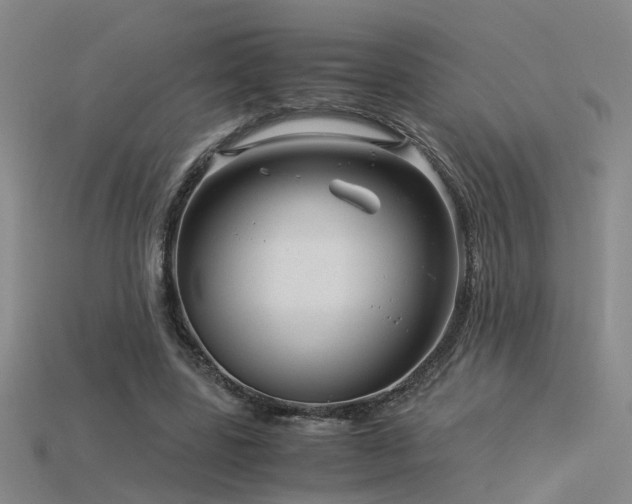 X0000115820539200911131446