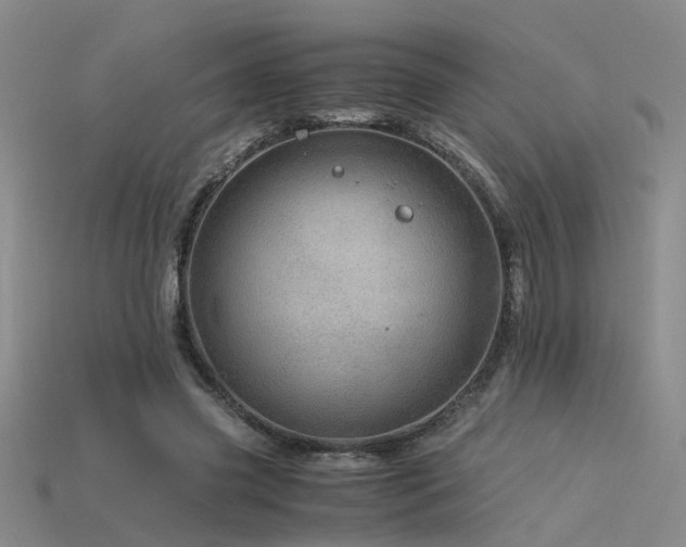 X0000115820541200911131446