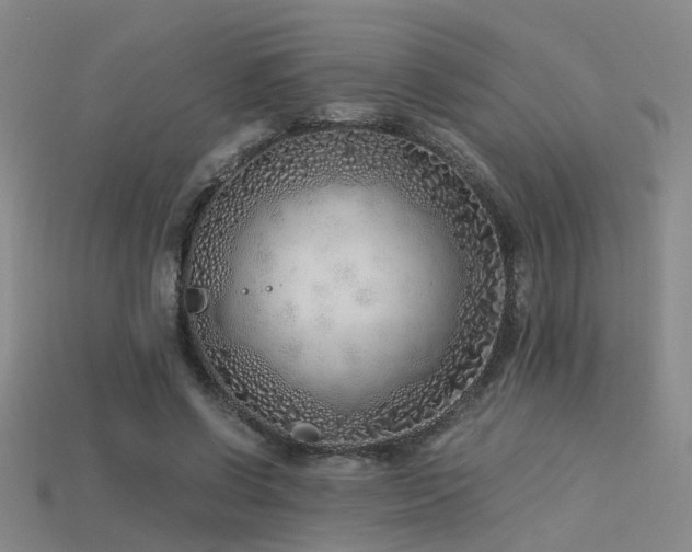 X0000115820542200911131446