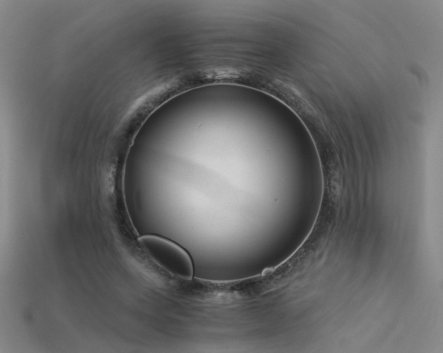 X0000115820543200911131446