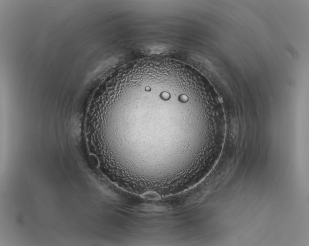 X0000115820545200911131446