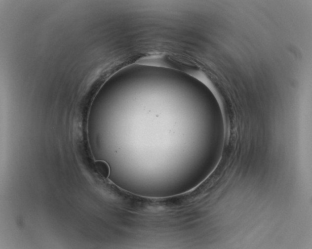 X0000115820547200911131446