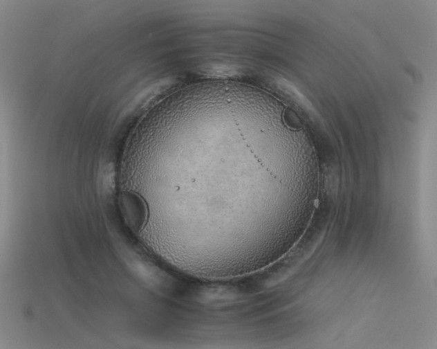 X0000115820549200911131446