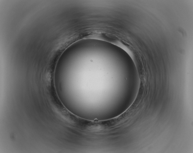 X0000115820551200911131446