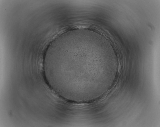 X0000115820553200911131446