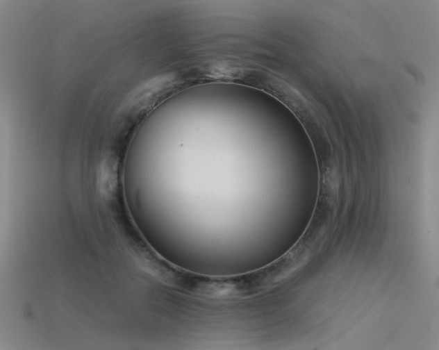 X0000115820554200911131446