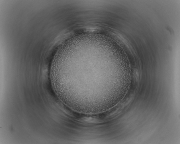 X0000115820557200911131446