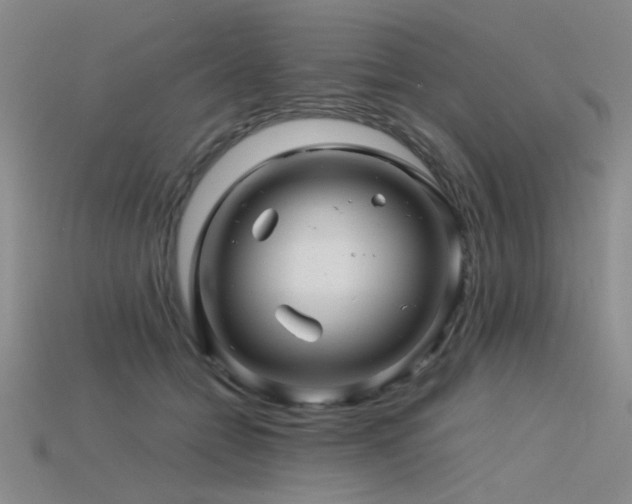 X0000115820558200911131446