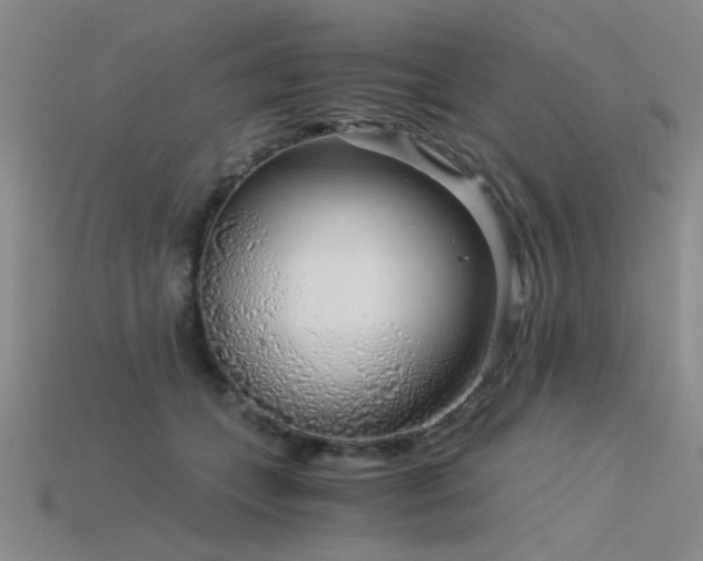 X0000115820559200911131446