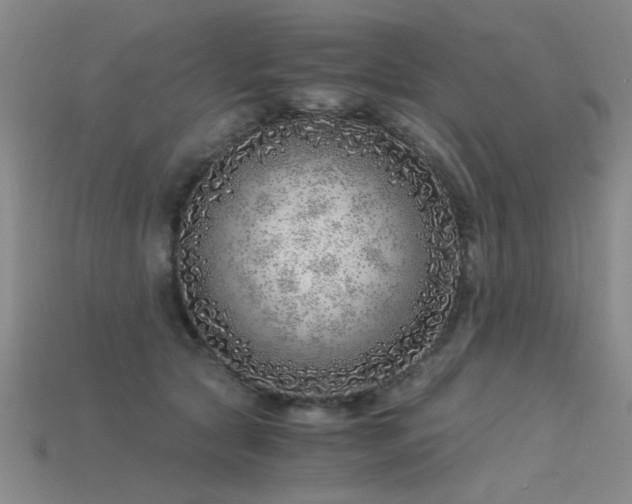 X0000115820561200911131446