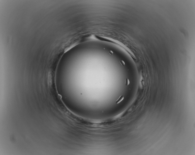 X0000115820562200911131446