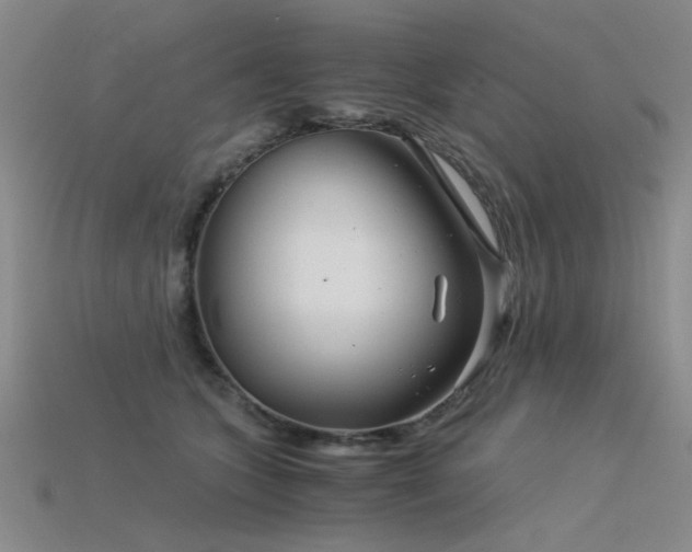 X0000115820563200911131446