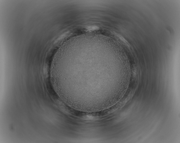 X0000115820565200911131446