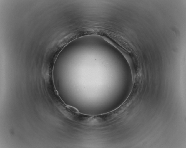 X0000115820566200911131446