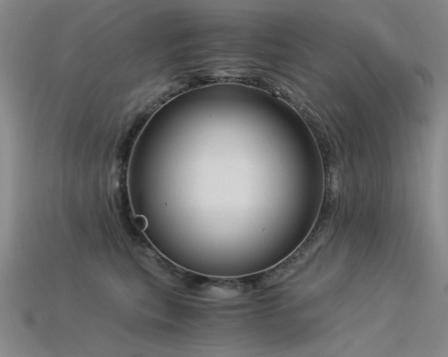 X0000115820567200911131446