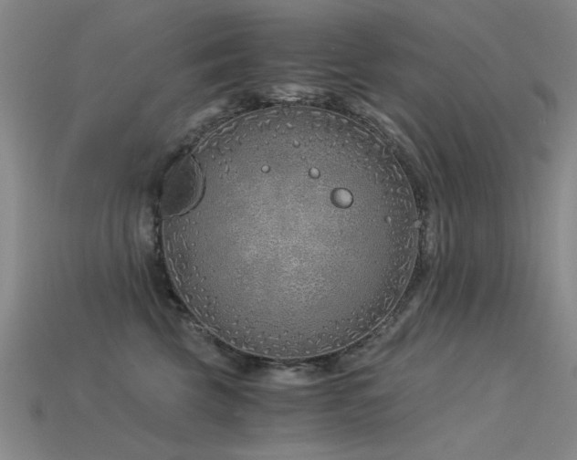 X0000115820569200911131446