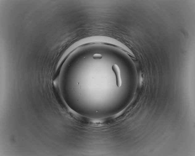 X0000115820570200911131446