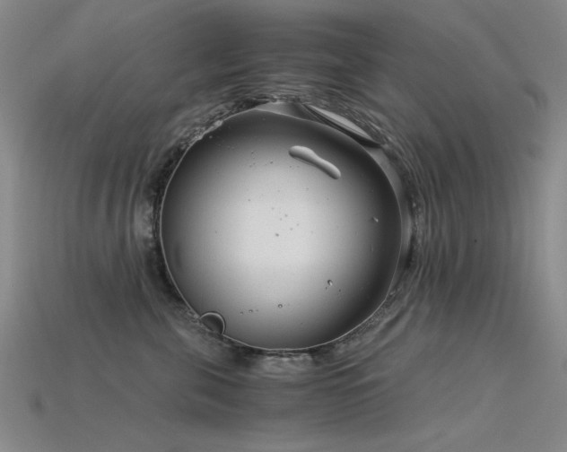 X0000115820571200911131447