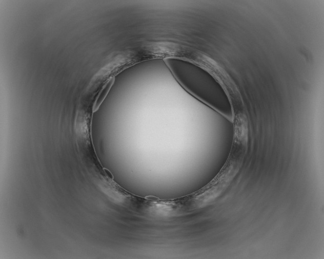 X0000115820573200911131447