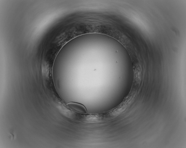 X0000115820574200911131447