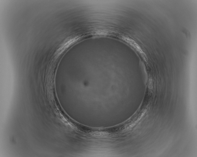 X0000115820577200911131446