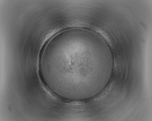 X0000115820578200911131446