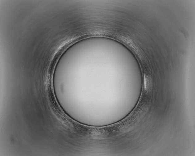 X0000115820579200911131446